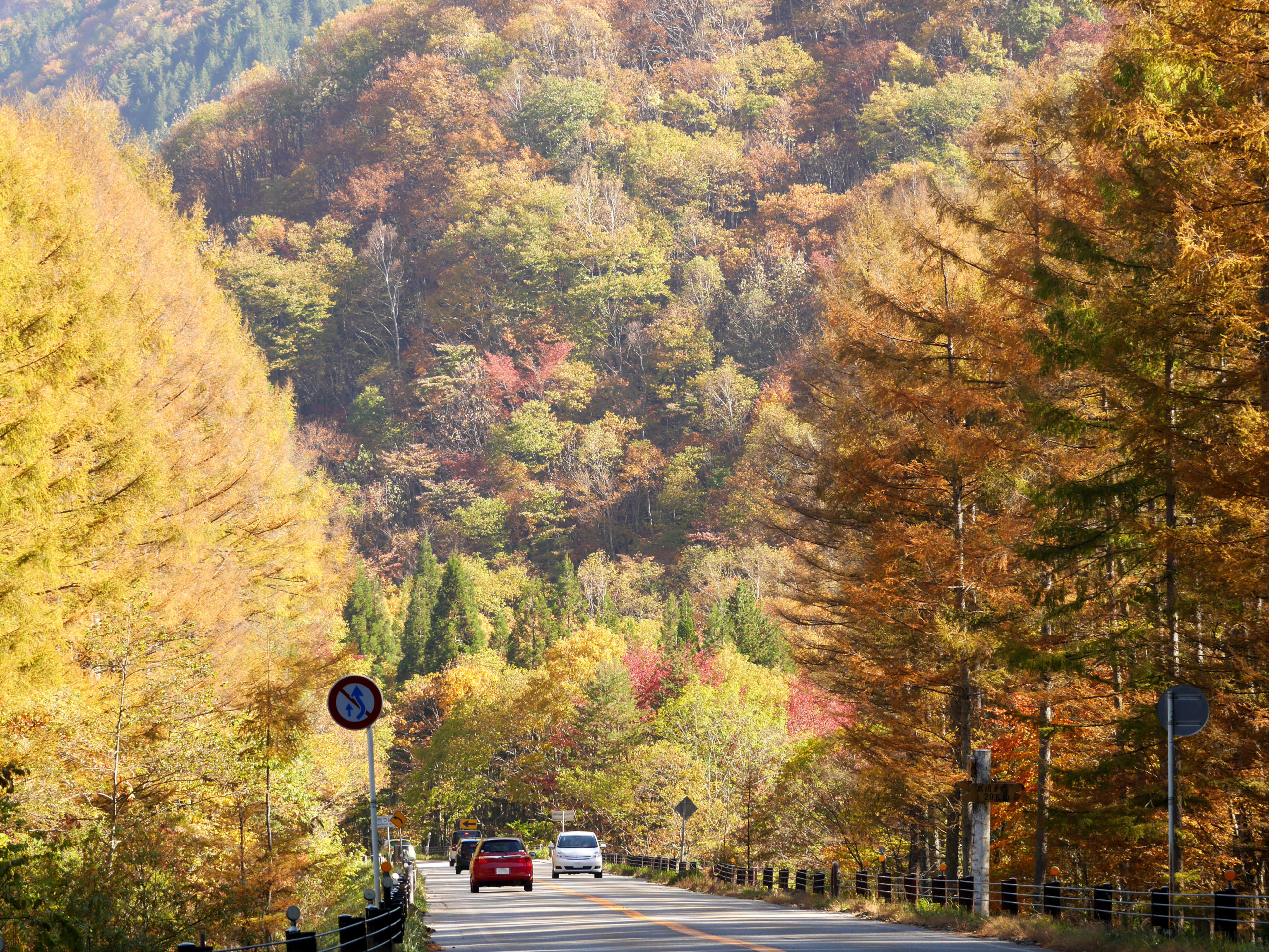 イメージ：せせらぎ街道