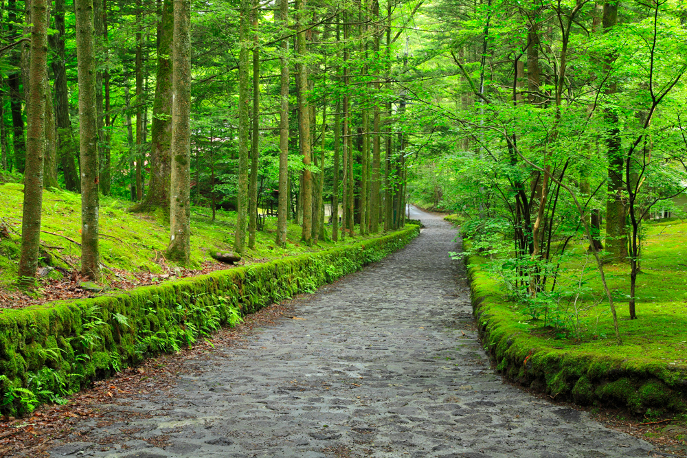 軽井沢別荘地　石畳の道と緑