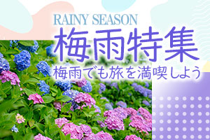 梅雨特集