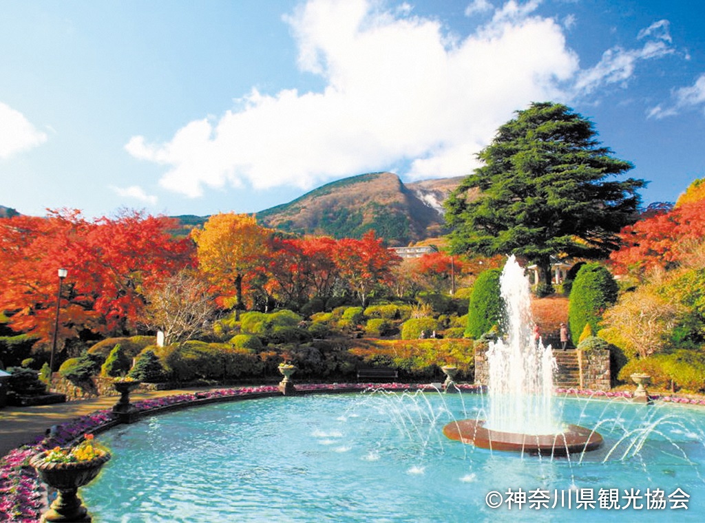 神奈川県箱根町強羅公園_秋の紅葉