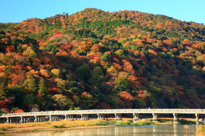 京都府京都市嵐山の紅葉