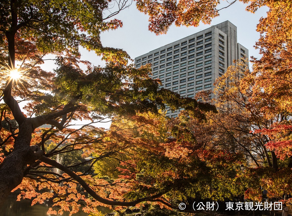 東京都日比谷公園の紅葉