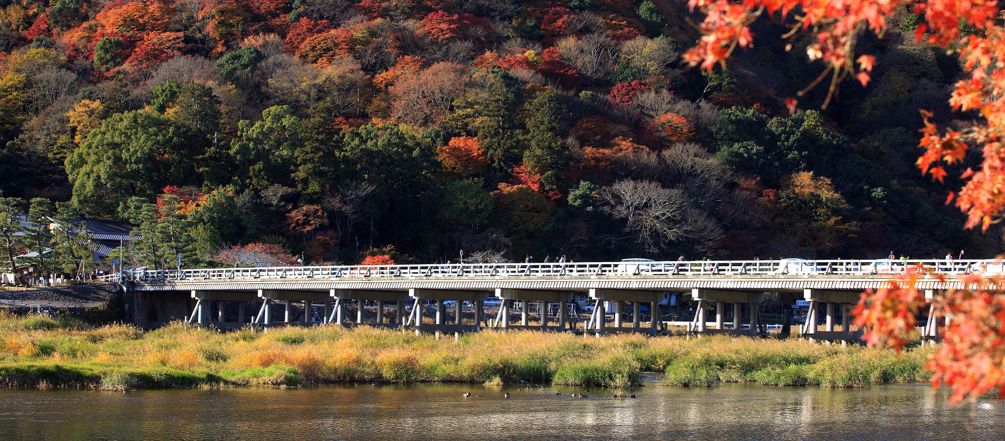 京都秋の渡月橋