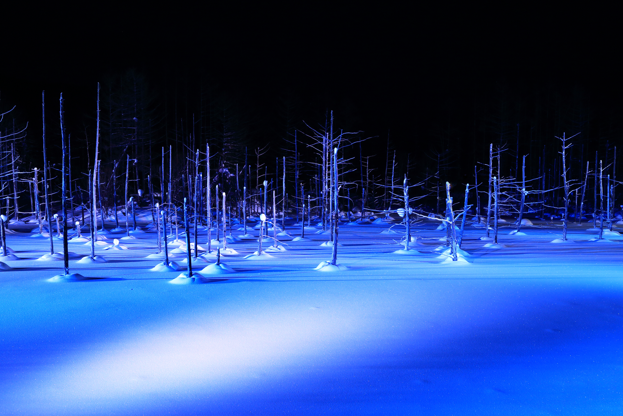イメージ：青い池ライトアップ