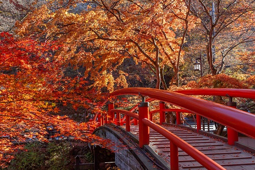 河鹿橋