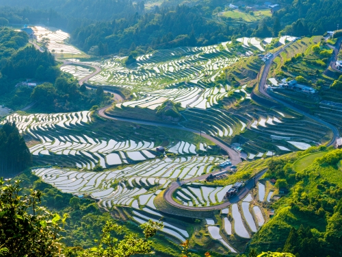 丸山千枚田