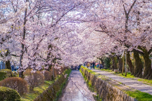 哲学の道