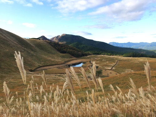 曽爾高原