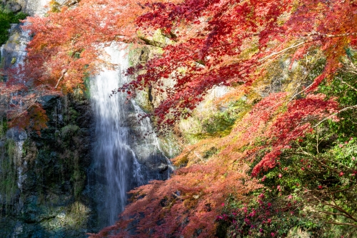 箕面大滝
