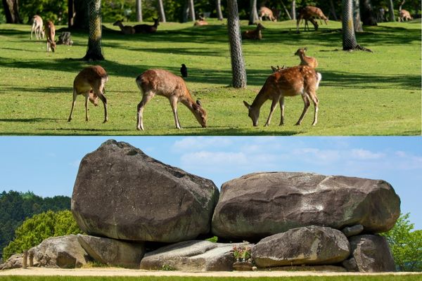 るるぶトラベル_奈良モデルコース
