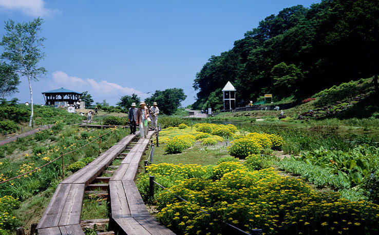 新潟県湯沢町のアルプの里