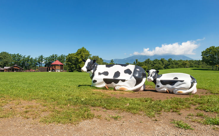 岩手県の小岩井農場