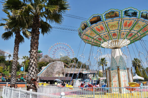 フォトギャラリー6