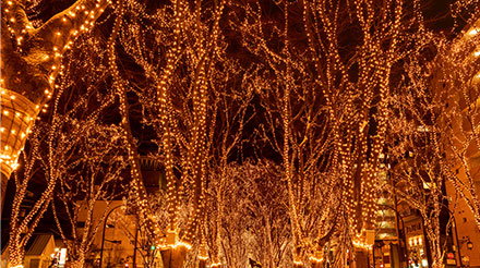 SENDAI光のページェントのイルミネーション